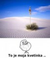 /album/forever-alone1/a422093-234686199960632-192424290853490-455918-272603107-n-jpg/